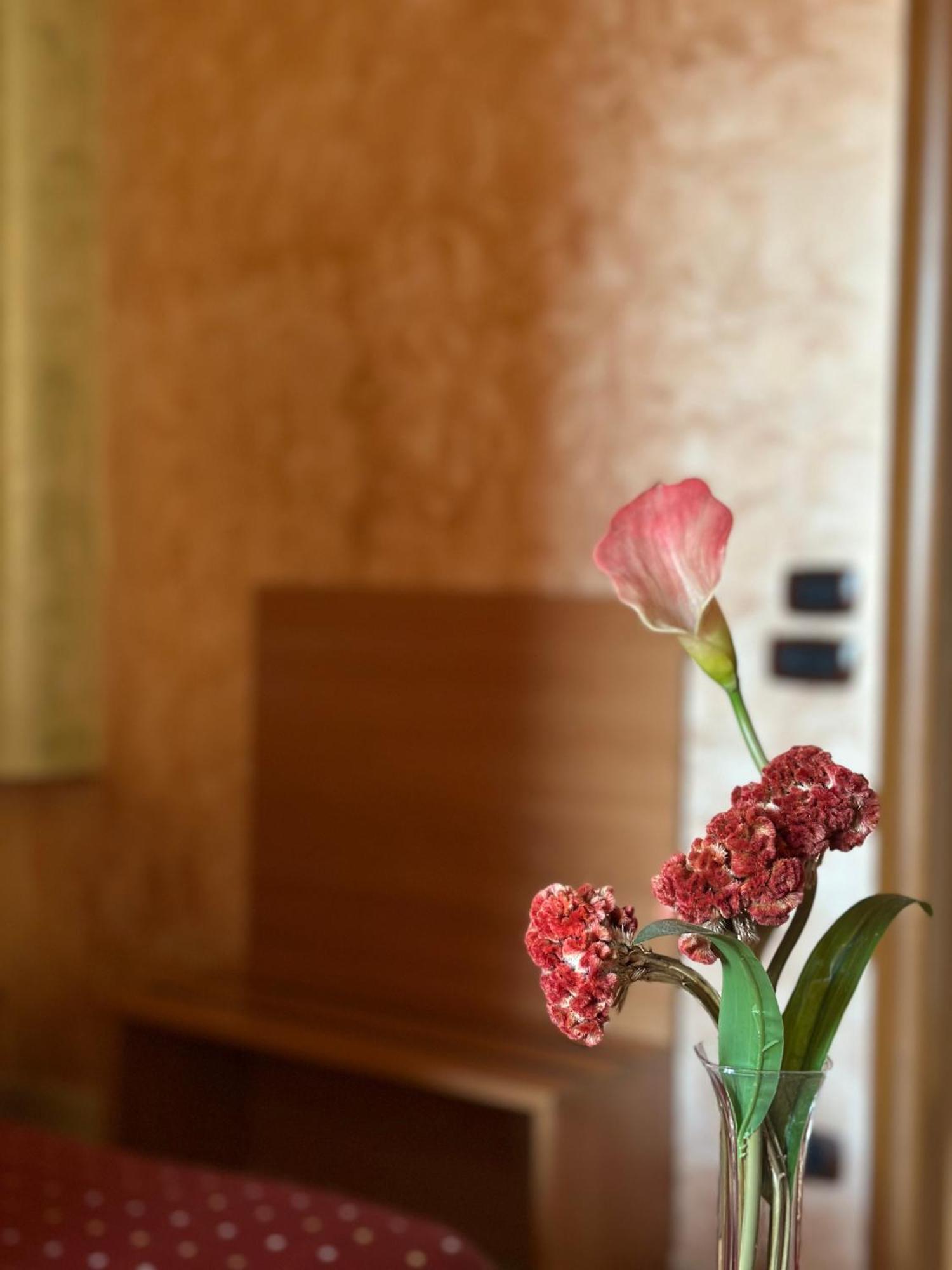 Hotel Il Giardino Degli Aranci Nola Bagian luar foto